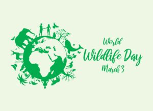 10 Reasons Why Wildlife Is Important
